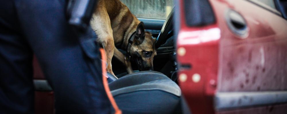 DWI Search and Seizure | Marsala Law Group
